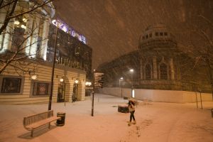 bradford snow 12 sm.jpg
